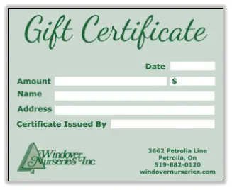Gift certificates are available