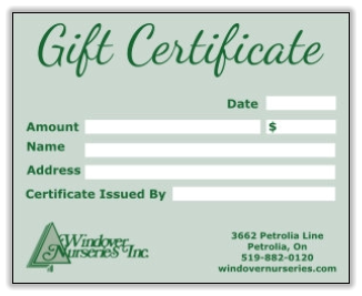 Gift Certificates Available